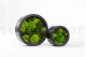 Preserved Ball Moss and Reindeer Moss in a Round Box - Large 17