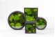 Preserved Ball Moss and Reindeer Moss in a Round Box - Medium 18