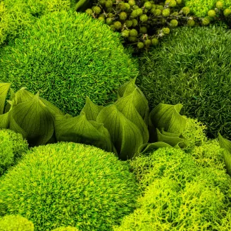 Round Box of preserved Moss (Size M)