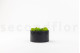 Preserved Ball Moss and Reindeer Moss in a Round Box - Medium 8