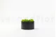 Caja redonda con relleno de musgo preservado (talla M) 8