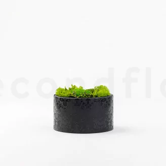 Scatola rotonda con muschio stabilizzato (Taglia M)
