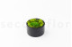 Preserved Ball Moss and Reindeer Moss in a Round Box - Medium 10
