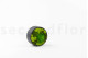 Preserved Ball Moss and Reindeer Moss in a Round Box - Medium 14