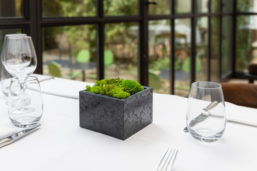 Mousse Boule et Lichen Stabilisé dans une Boîte Carrée - Medium