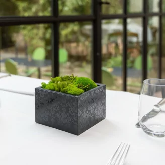 Bo&icirc;te Carr&eacute;e Garnie de Mousse stabilis&eacute;e (Taille M)