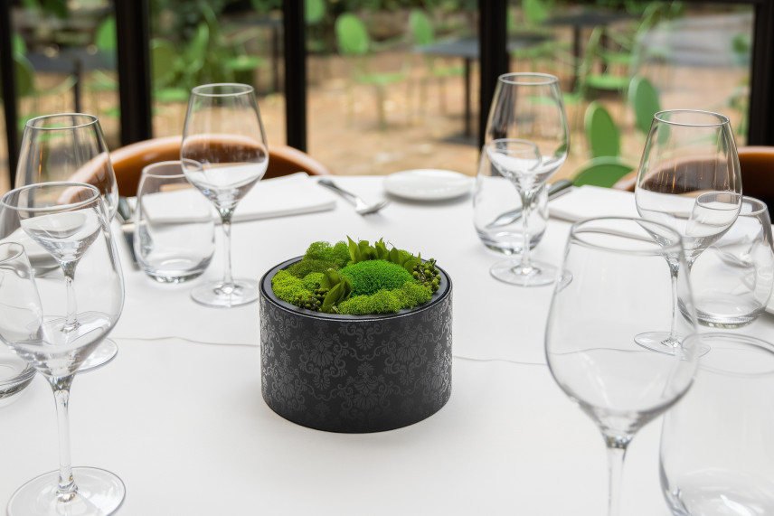 Preserved Ball Moss and Reindeer Moss in a Round Box - Medium