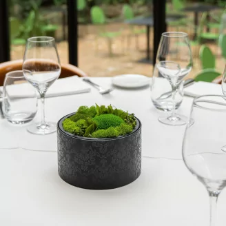 Round Box of preserved Moss (Size M)