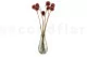 Preserved Scabiosa stellata Pink (x10) 3