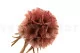 Preserved Scabiosa stellata Pink (x10) 4