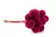 Konservierte Scabiosa stellata Fuchsia (x10) 7