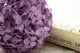Hortensia preservado Lavanda 6