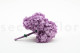 Stabilized Hydrangea - Lavender 5