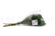 Broom stabilisé - Vert 7