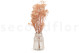 Gypsophile Stabilisé - Pastel Pink 4