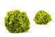 Stabilized Hydrangea - Green Pistachio 7