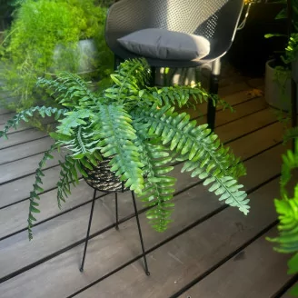 Artificial Boston Fern