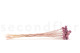 Craspedia préservé - Bouquet - Lavender Lane 7