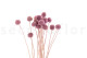 Billy Buttons Preserved - Bouquet - Lavender Lane 6