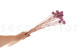 Craspedia preservada - Ramo - Lavender Lane 5