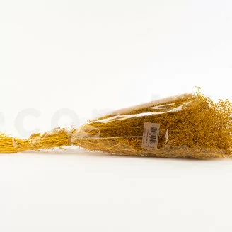 Konserviertes Mini-Schleierkraut Honey Yellow