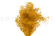 Gypsophile Mini Stabilisé - Honey Yellow 7