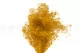 Konserviertes Mini-Schleierkraut Honey Yellow 6