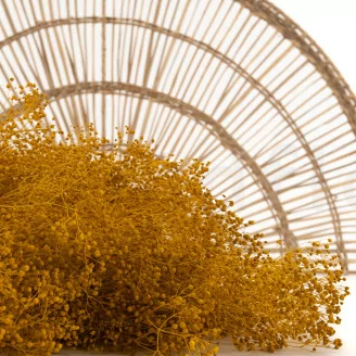 Preserved Mini Gypsophila Honey Yellow