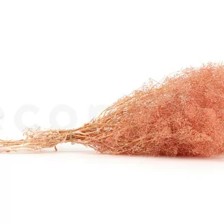 Preserved Mini Gypsophila Pink Flamingo