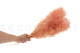 Mini Gipsofila Preservada - Pink Flamingo 5