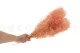 Preserved Mini Gypsophila Pink Flamingo 5