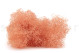 Mini Gypsophila Stabilized - Pink Flamingo 6