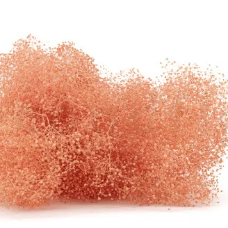 Preserved Mini Gypsophila Pink Flamingo