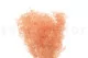 Preserved Mini Gypsophila Pink Flamingo 7