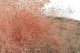 Mini Gipsofila Preservada - Pink Flamingo 8