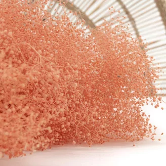 Preserved Mini Gypsophila Pink Flamingo