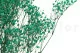 Gypsophile stabilis&eacute; Turquoise 6