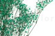 Stabilized Gypsophila - Bouquet - Turquoise 6