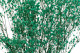 Gypsophile Stabilisé - Bouquet - Turquoise 2