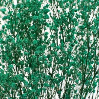 Gipsofila preservada Turquesa