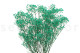 Gypsophile Stabilisé - Bouquet - Turquoise 7