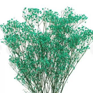 Preserved Gypsophila Turquoise