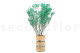 Gypsophile Stabilisé - Bouquet - Turquoise 4