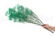 Gypsophile Stabilisé - Bouquet - Turquoise 3