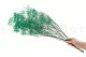 Gypsophile stabilis&eacute; Turquoise 3
