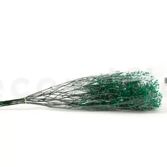 Preserved Gypsophila Turquoise