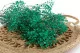 Gypsophila stabilizzata Turchese 9