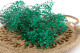 Gypsophile Stabilisé - Bouquet - Turquoise 9
