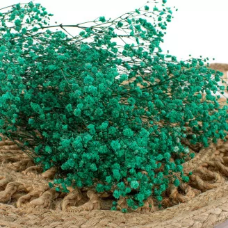 Preserved Gypsophila Turquoise