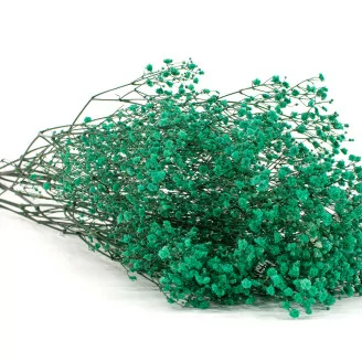 Preserved Gypsophila Turquoise